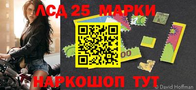 гидра Новодвинск
