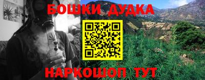 гидра Новодвинск
