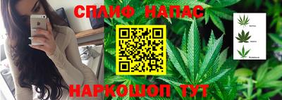 гидра Новодвинск
