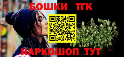 гидра Новодвинск