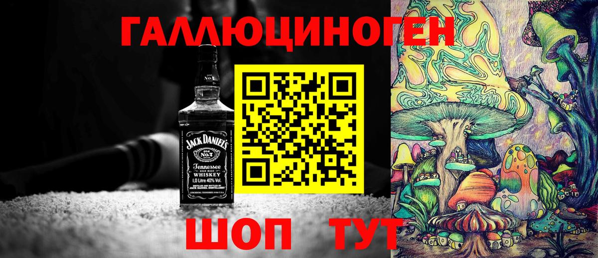 как найти наркотики  Псилоцибиновые грибы GOLDEN TEACHER  Вход с VPN  Славянск-на-Кубани 